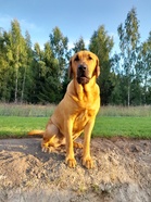 Good Mind’s Call Me Mama Quilla